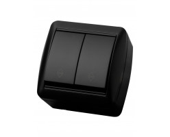 Переключатель 2-кл ОП IP44 10А графит Селигер TDM