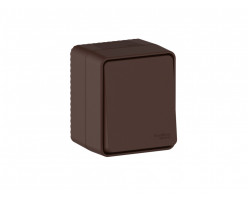 Переключатель ОП-1 10АХ IP54 Коричневый AtlasDesign Profi54