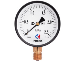 ТМ-310Р.00(0-1,6MPa)G1/4.2,5
